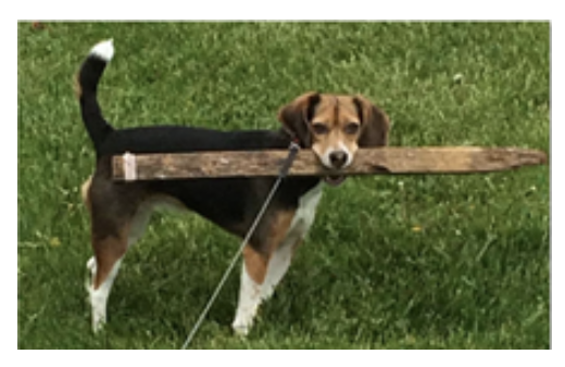 image-20200807110502419