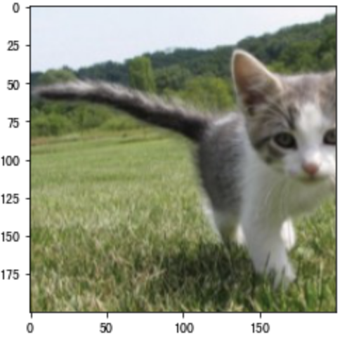 image-20200810180523815