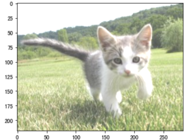 image-20200810180658306