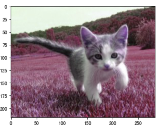 image-20200810180810294