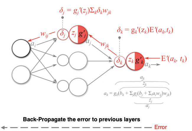 image-20200731165142151