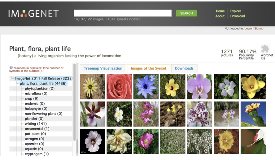 image-20200807135851763