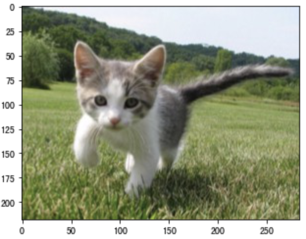 image-20200810180117736