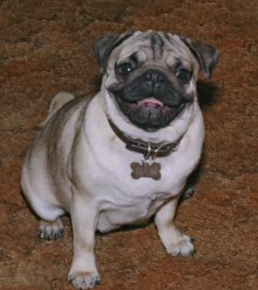 image-20201012141516883