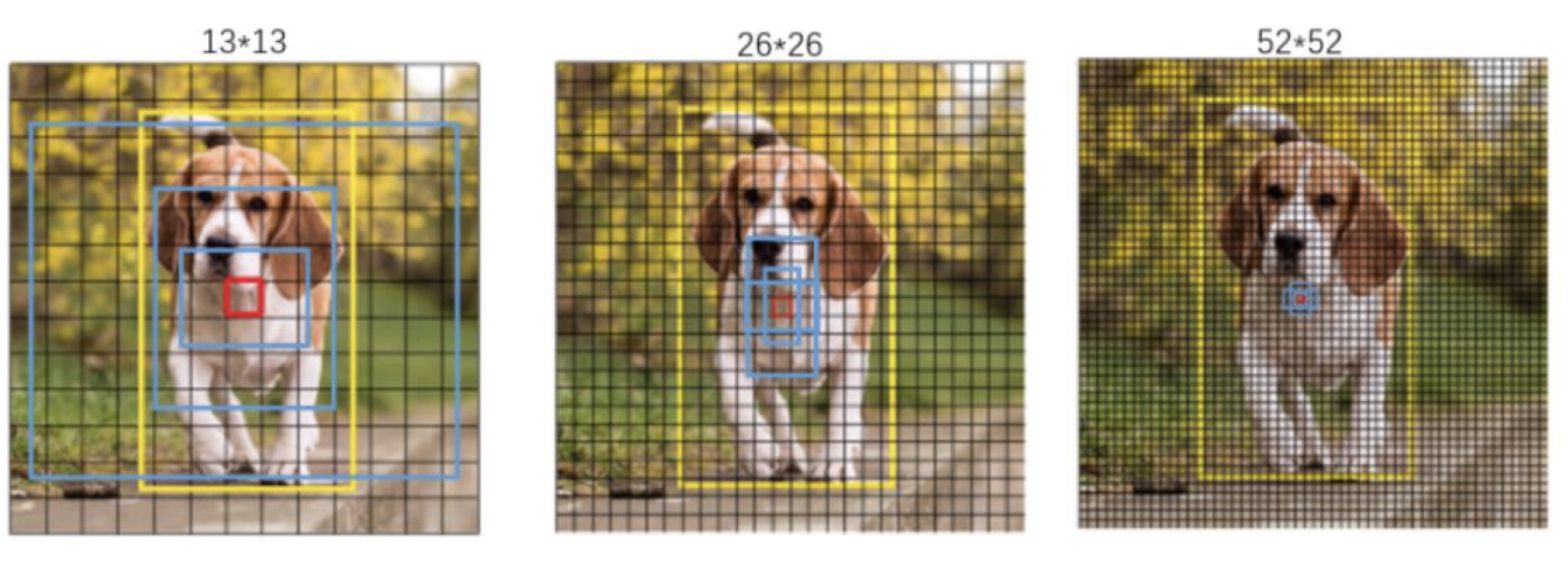 image-20200502103442569