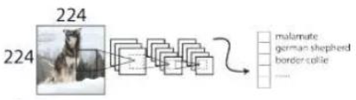 image-20200915165005595