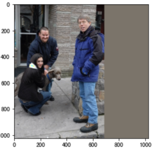 image-20200921161355027