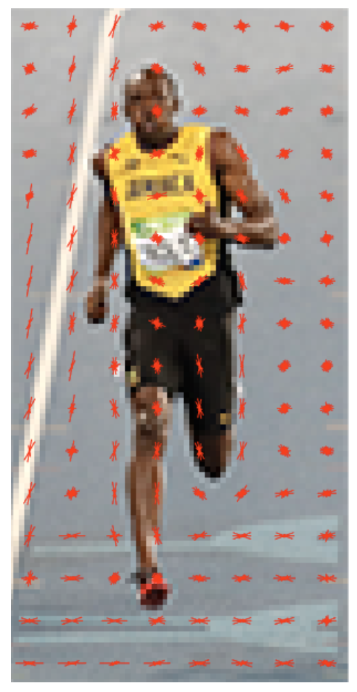 image-20191108111824266