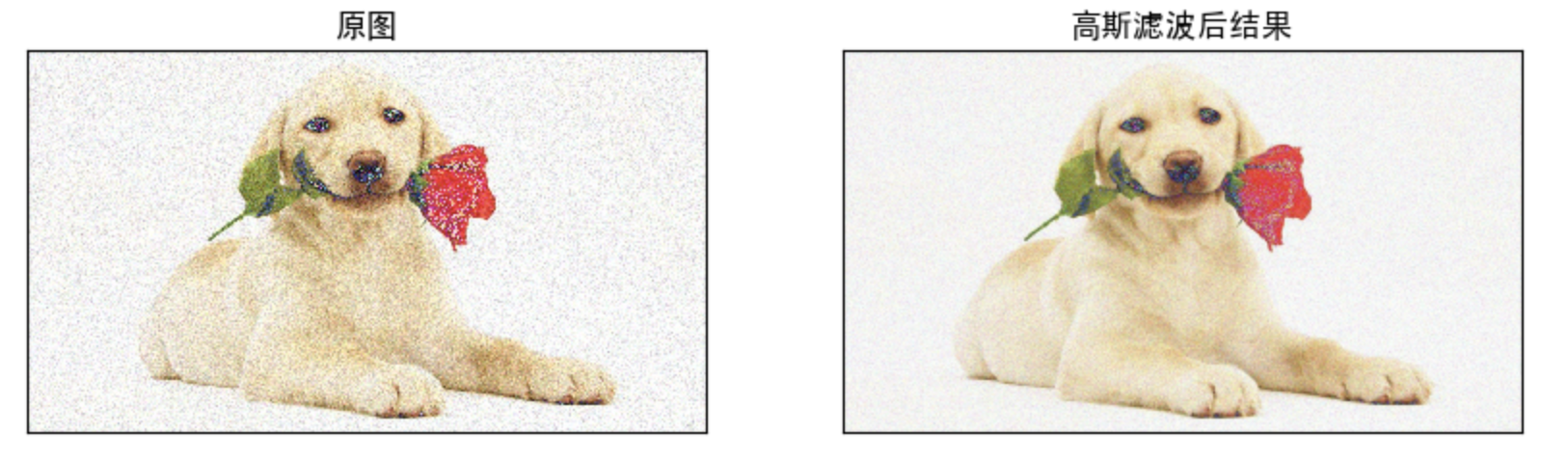 image-20190928111903926